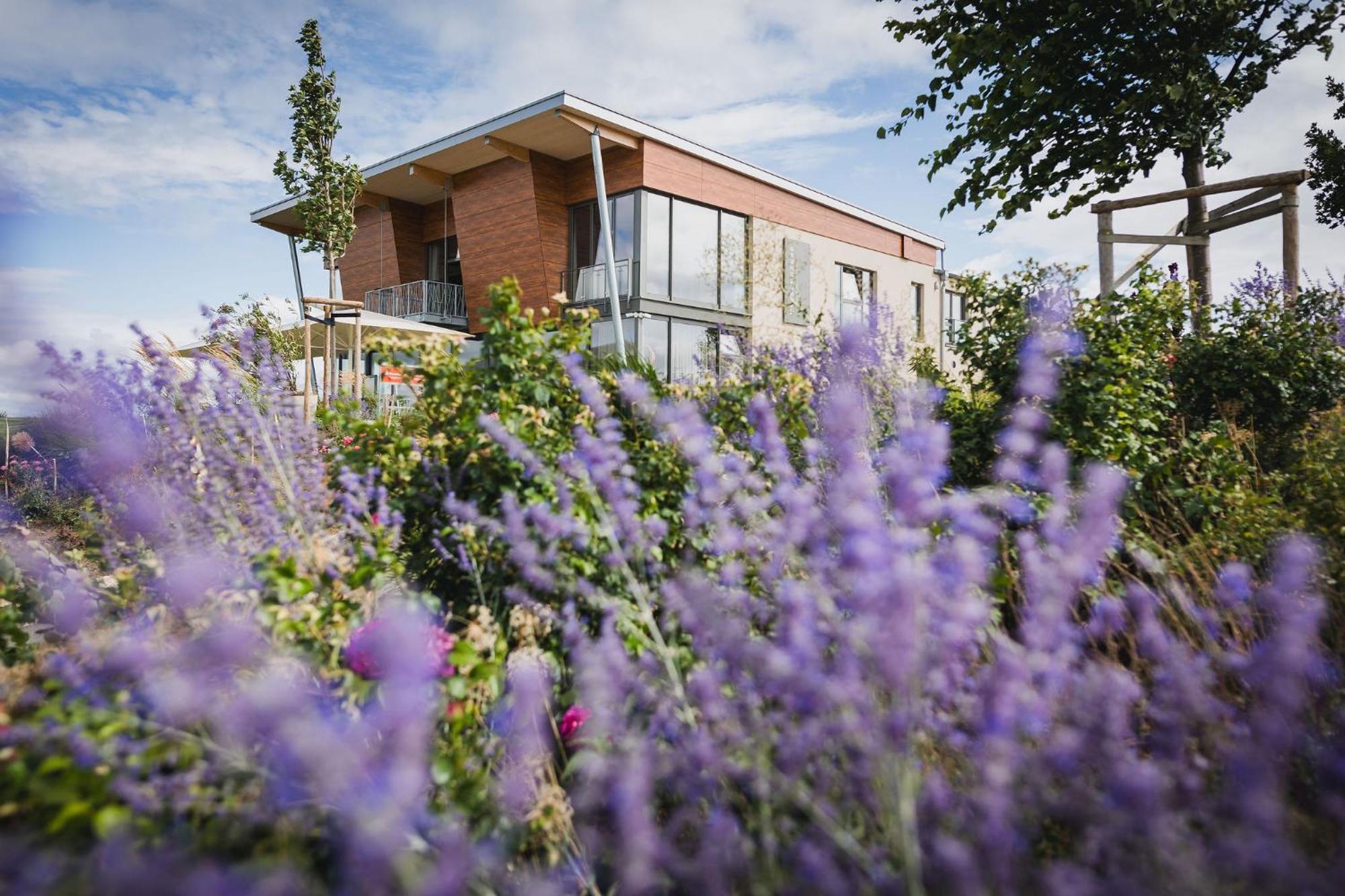 Weinzuhause Hotel-Restaurant-Vinothek Mommenheim Kültér fotó